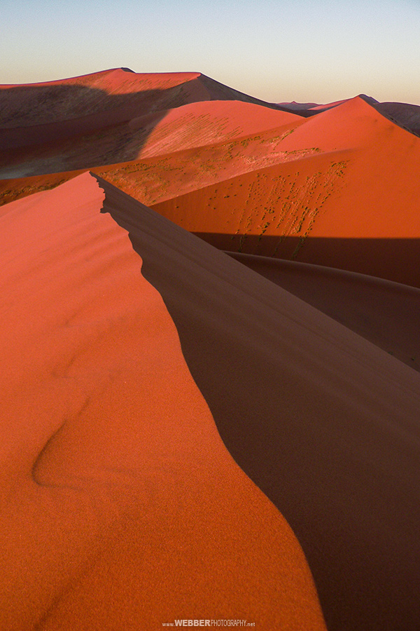 Dune 45 : Webber Photography