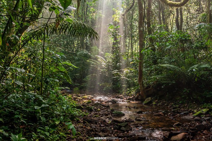 Ngomboku : Webber Photography