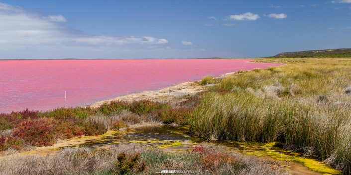 Hutt Lagoon : Webber Photography